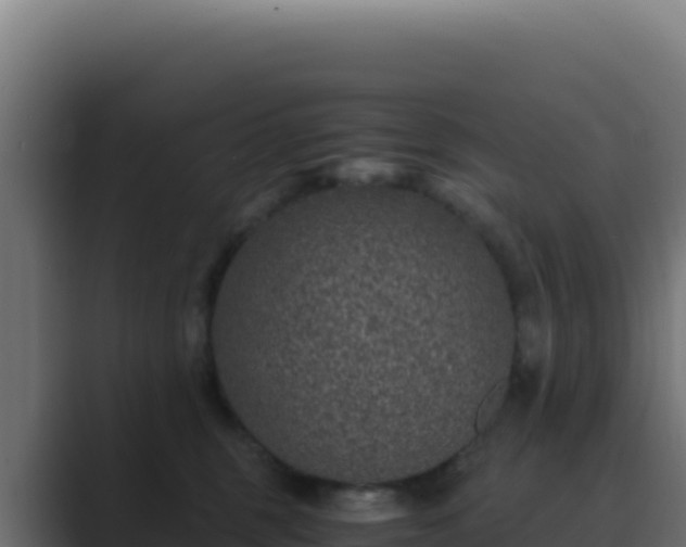 X0000089750375200706281630