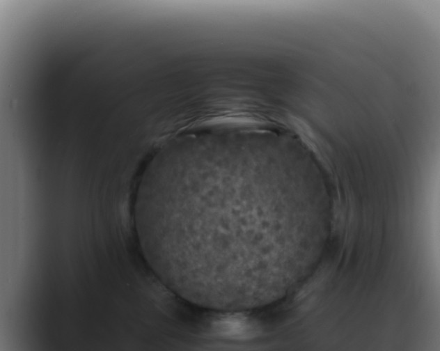 X0000089750377200706281630