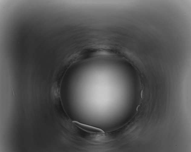 X0000089750384200706281630