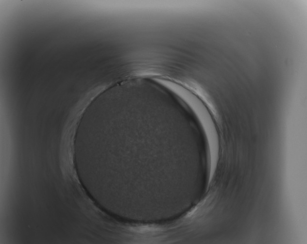 X0000089750385200706281629