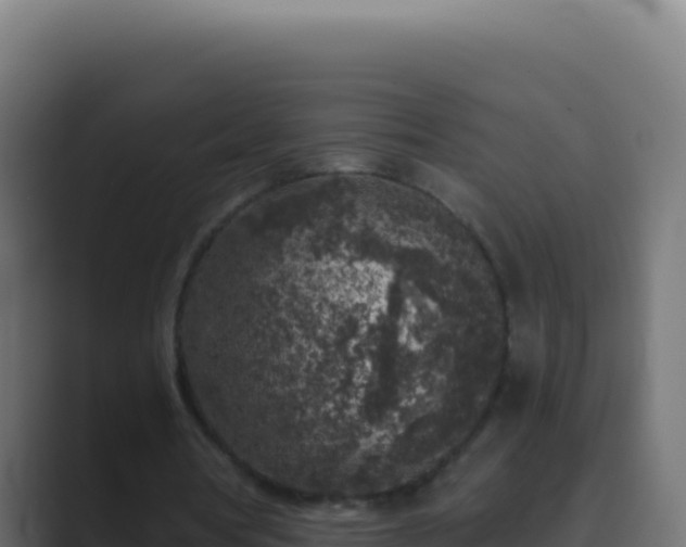 X0000089750386200706281629