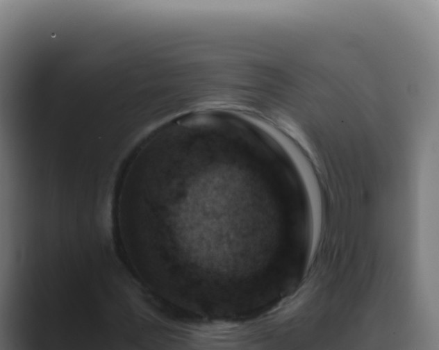 X0000089750387200706281629