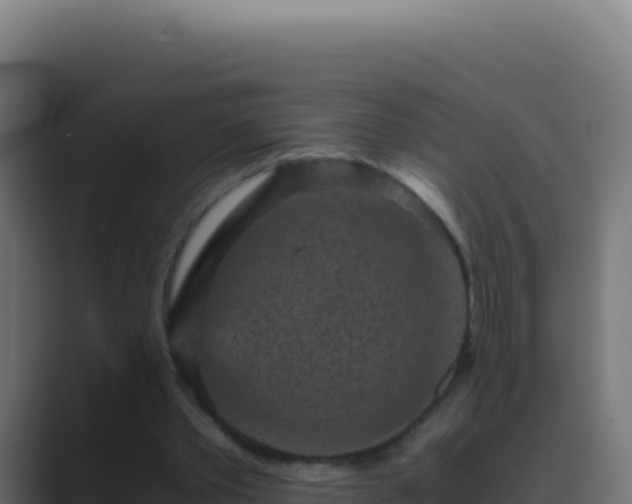 X0000089750389200706281629