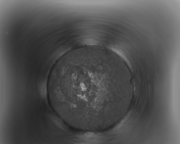 X0000089750390200706281629