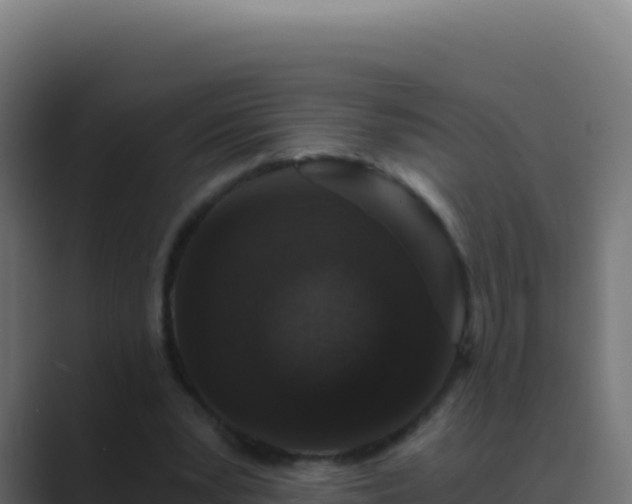 X0000089750391200706281629