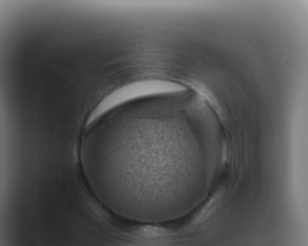 X0000089750393200706281629