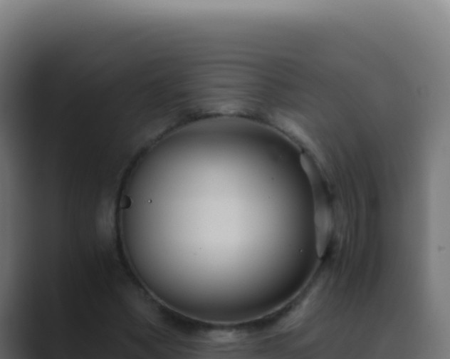 X0000089750394200706281629