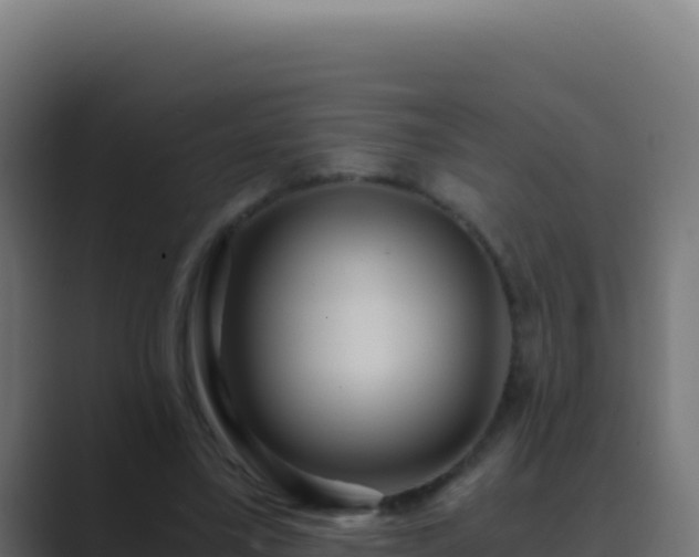 X0000089750395200706281629