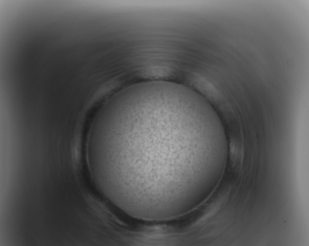 X0000089750396200706281629