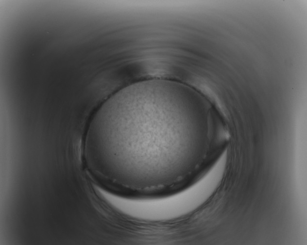 X0000089750397200706281629