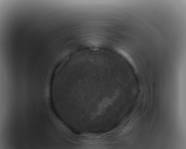 X0000089750399200706281629