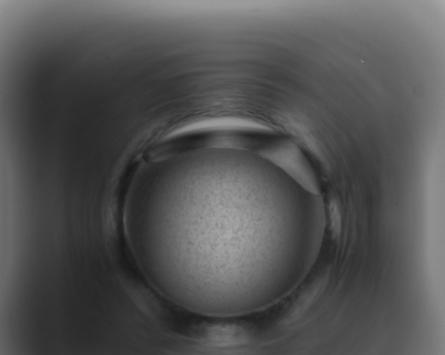 X0000089750400200706281629