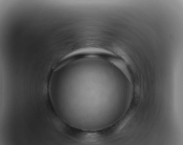 X0000089750401200706281629