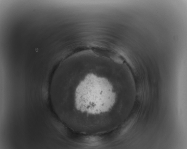 X0000089750402200706281629