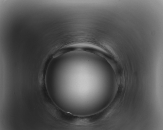 X0000089750403200706281629