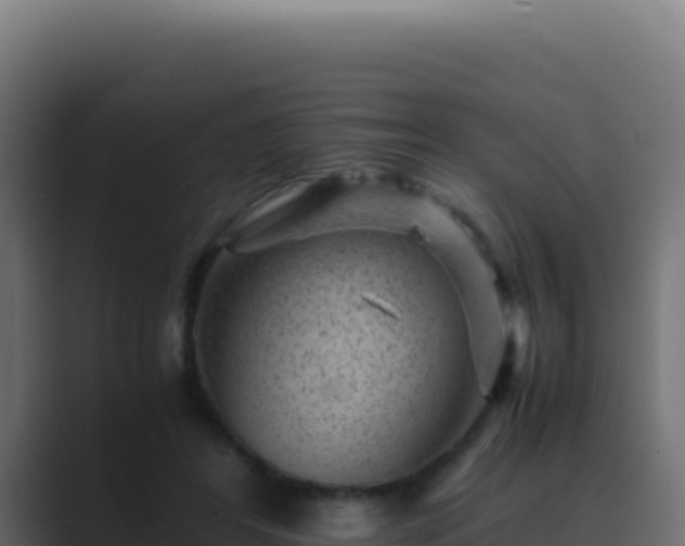 X0000089750404200706281629