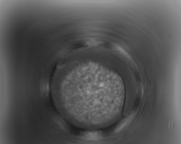 X0000089750405200706281629