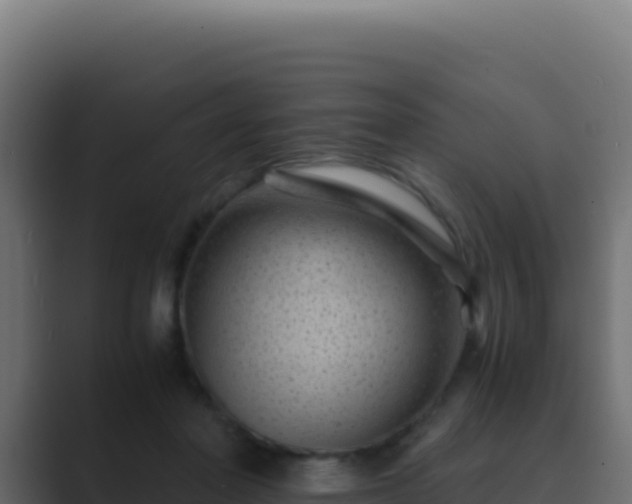 X0000089750406200706281629