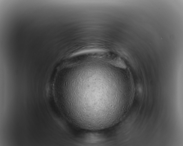 X0000089750408200706281629