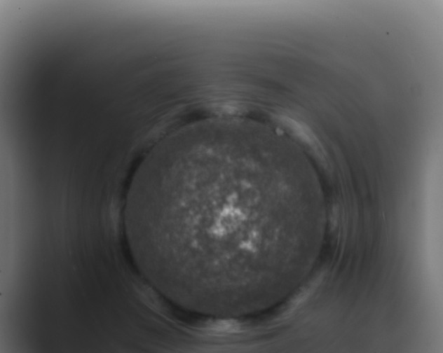 X0000089750409200706281629