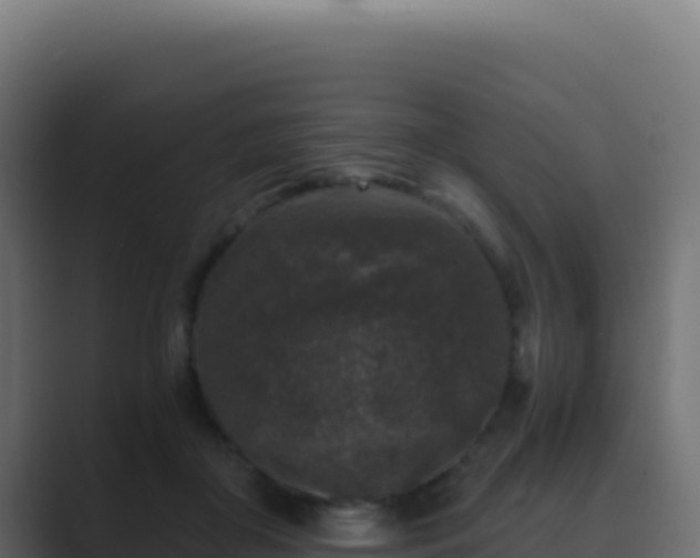 X0000089750410200706281629