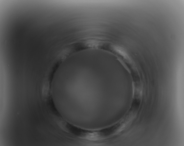 X0000089750411200706281629