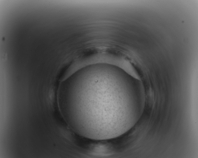 X0000089750412200706281629