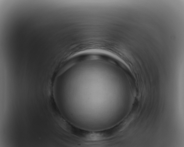 X0000089750413200706281629