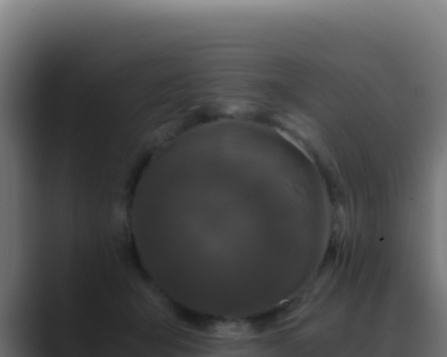 X0000089750415200706281629