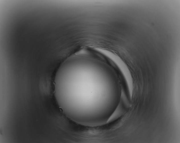 X0000089750416200706281629