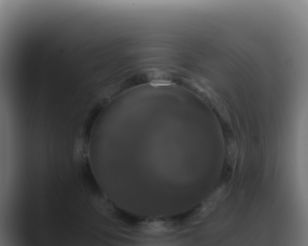 X0000089750419200706281629