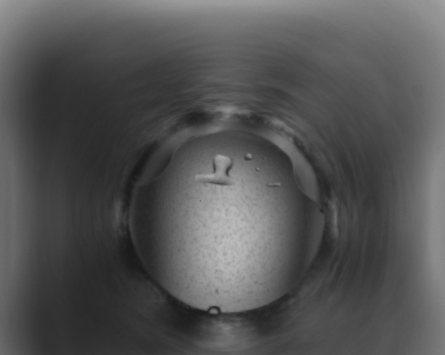 X0000089750420200706281629