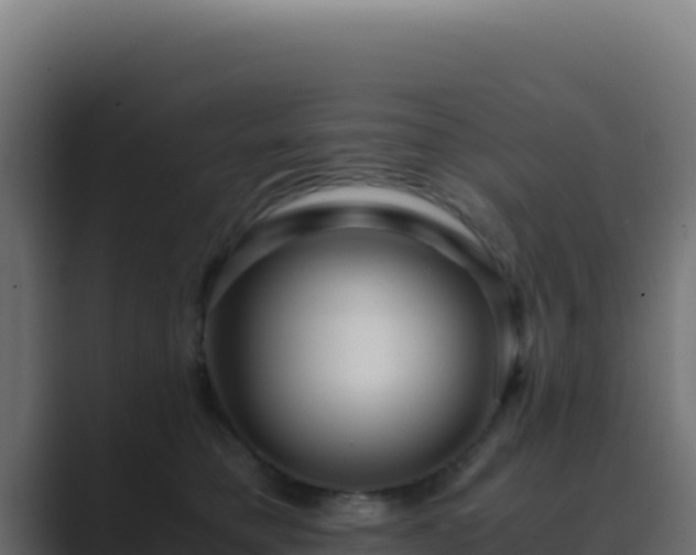 X0000089750421200706281629