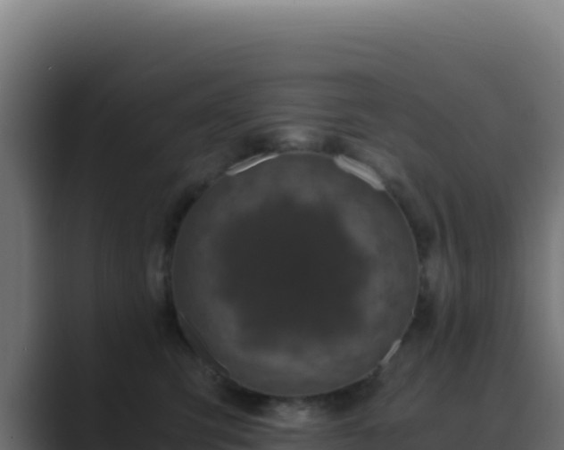 X0000089750423200706281629