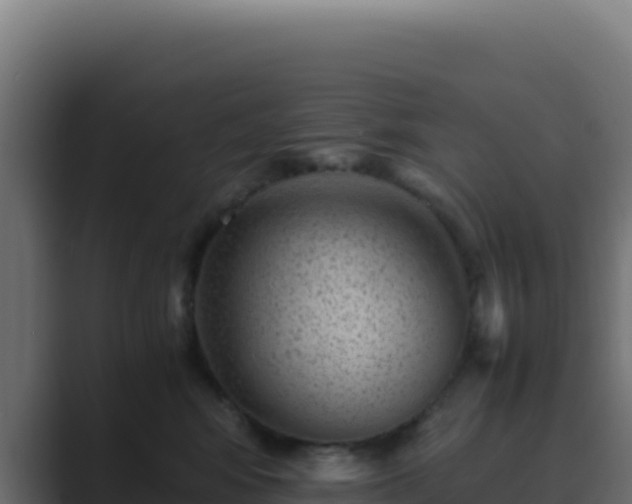 X0000089750424200706281629