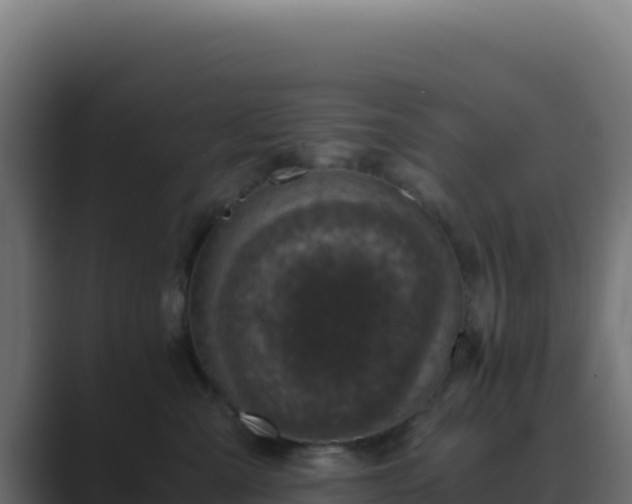 X0000089750427200706281629