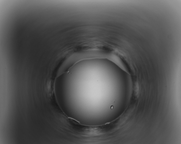 X0000089750428200706281629