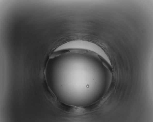 X0000089750429200706281629