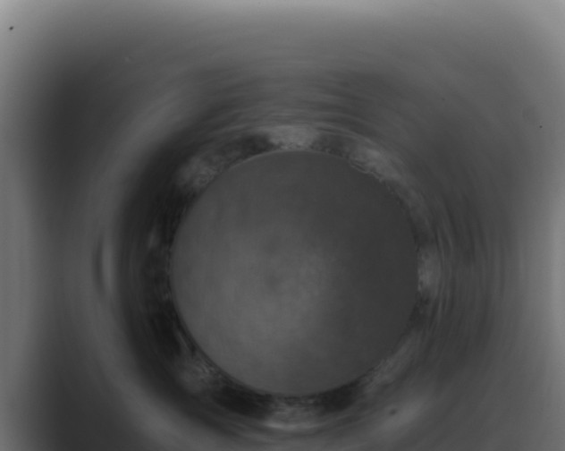 X0000089750431200706281629