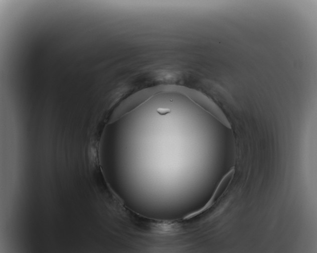 X0000089750432200706281629