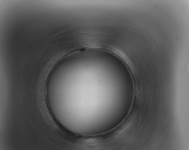 X0000089750433200706281628