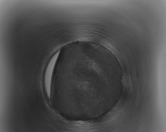 X0000089750434200706281628