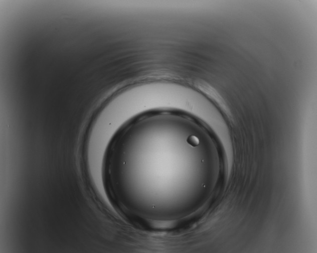 X0000089750436200706281628