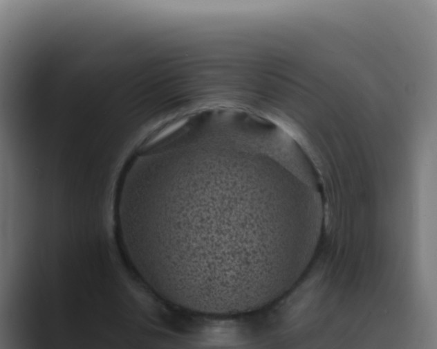 X0000089750438200706281628