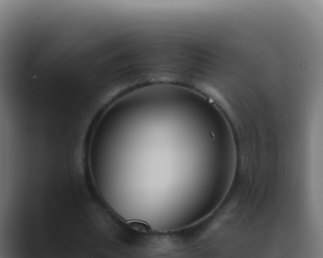 X0000089750439200706281628