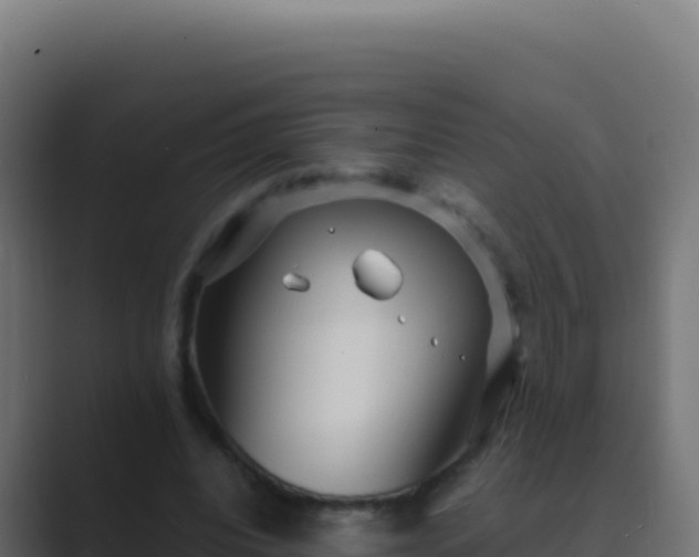 X0000089750440200706281628