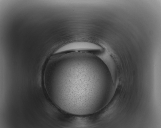 X0000089750442200706281628