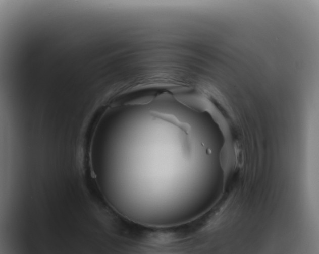 X0000089750444200706281628