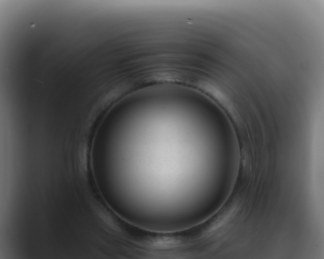 X0000089750445200706281628