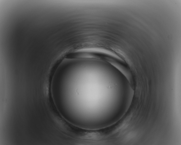 X0000089750446200706281628